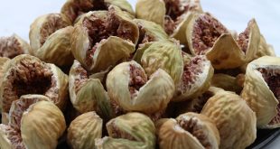 فواید فوق‌العاده انجیر برای سلامتی